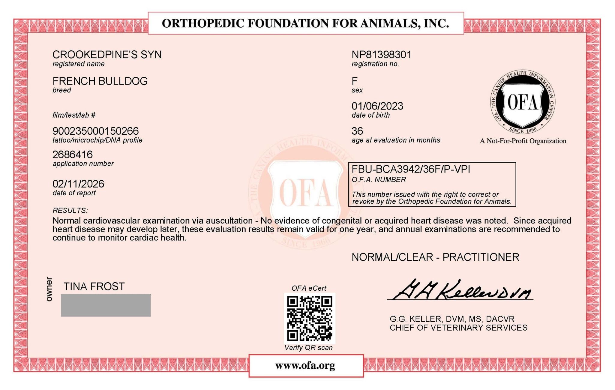 Jolie OFA Cardiac