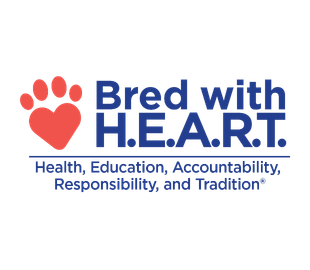 AKC Bread with HEART 310 x 270 px.webp
