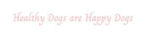 Healthy Frenchies are Happy Frenchies