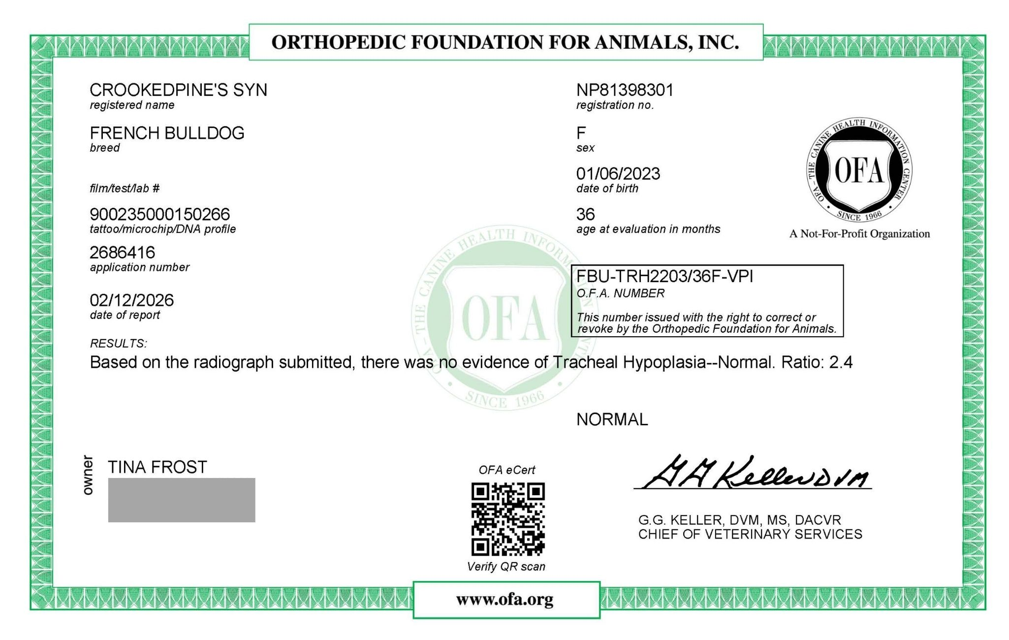 Jolie OFA Trachea