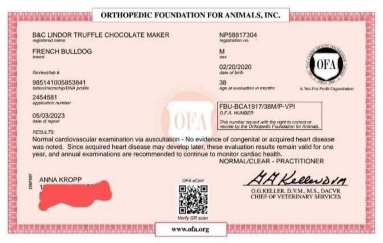 Lindor OFA Cardiac cropped