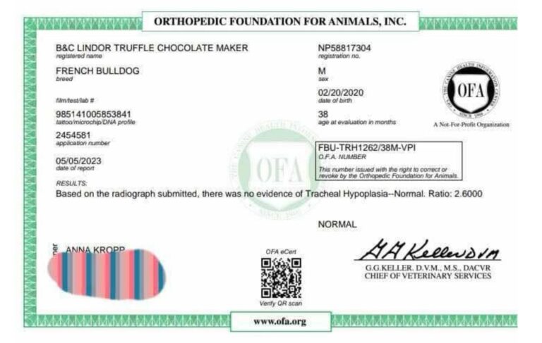 Lindor OFA Trachea cropped