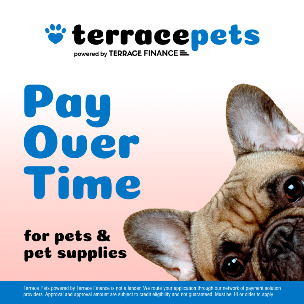 TPets Social Post frenchie (1)