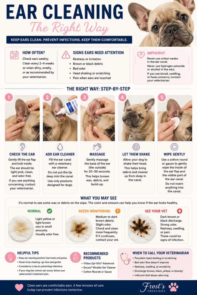 Frost's Frenchies Ear Cleaning Guide